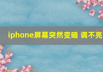 iphone屏幕突然变暗 调不亮